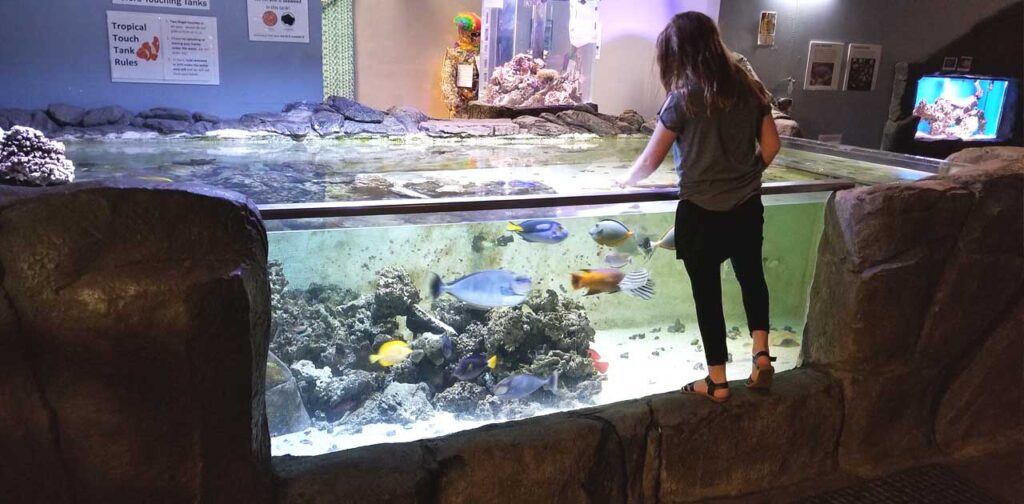 Aquarium of Boise