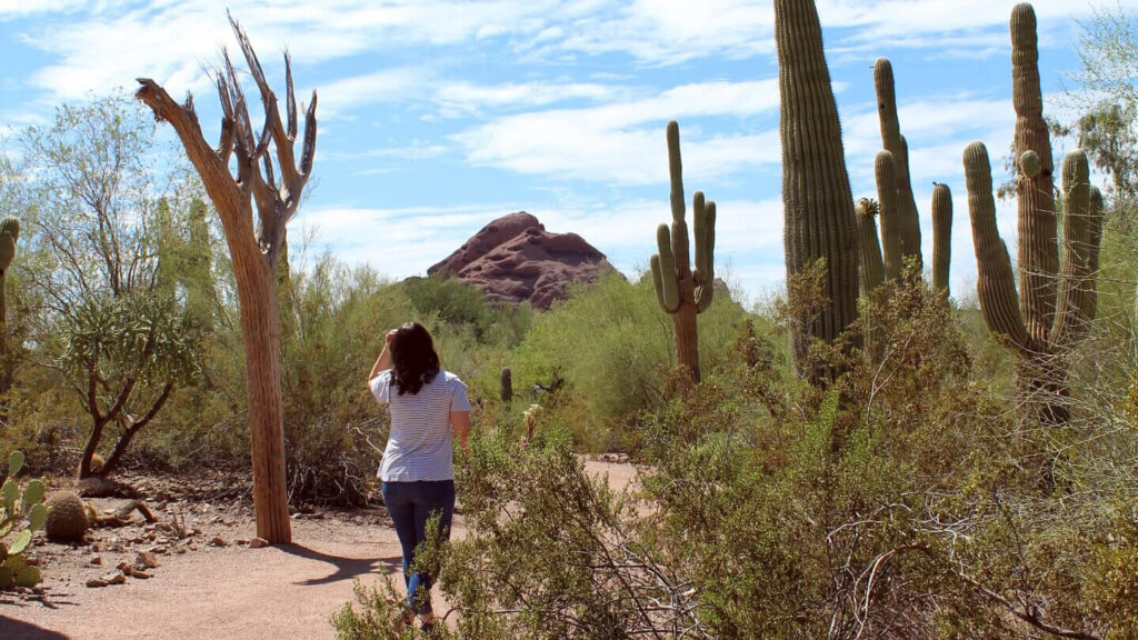 Desert Botanical Garden, Phoenix