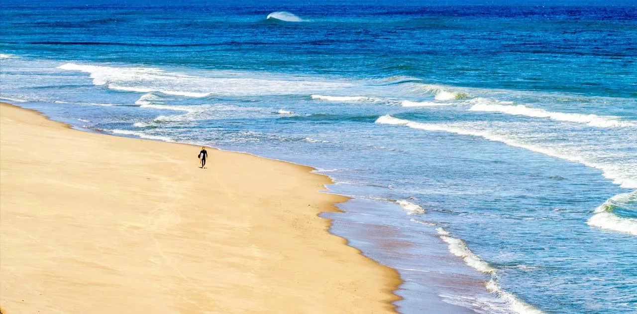 Best Day Trip to Cape Cod with top attractions and scenic views