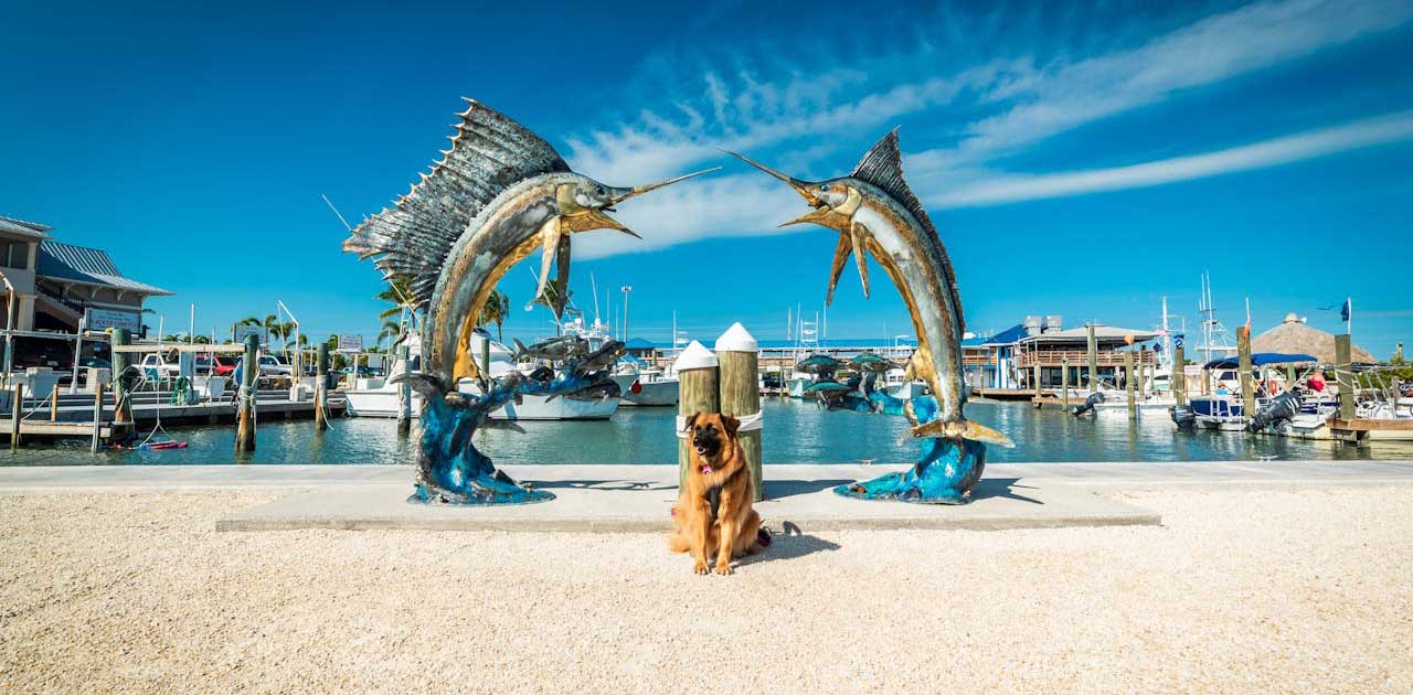 Best Day Trip to Florida Keys with top attractions and scenic views