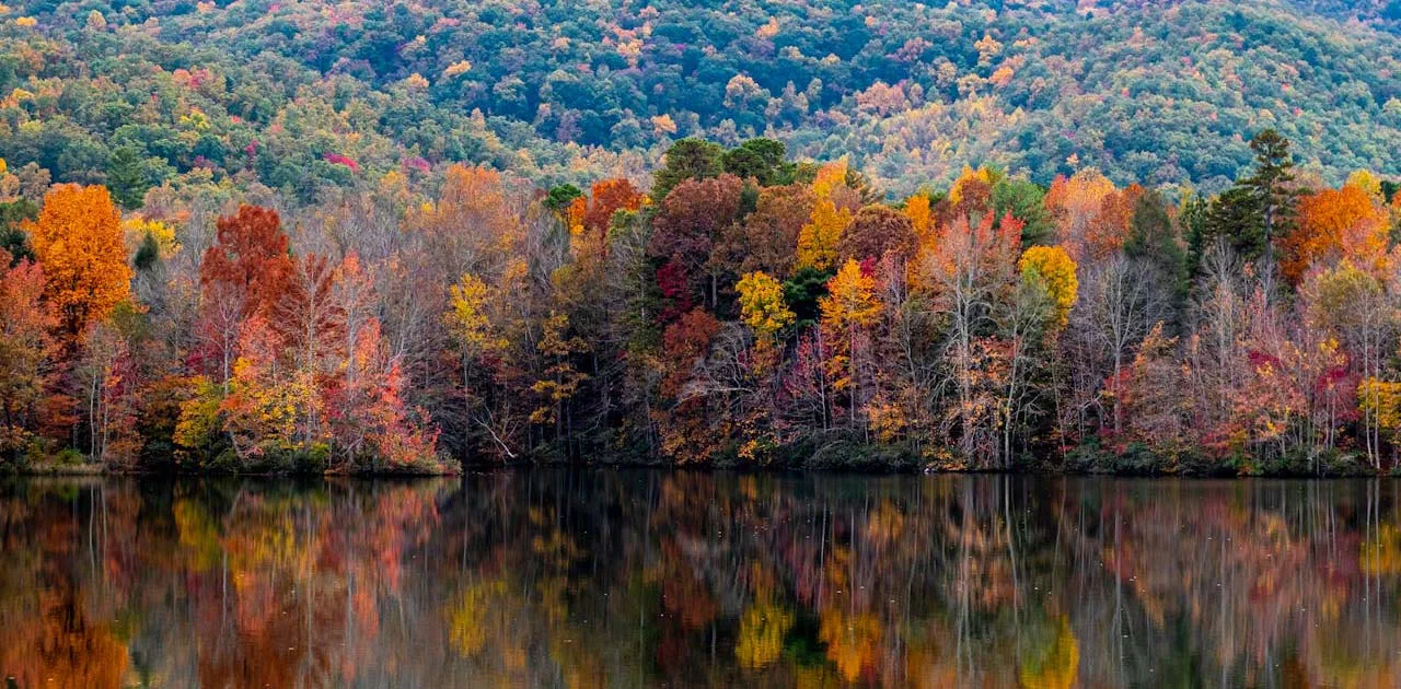Scenic view from one of the best day trips in Georgia