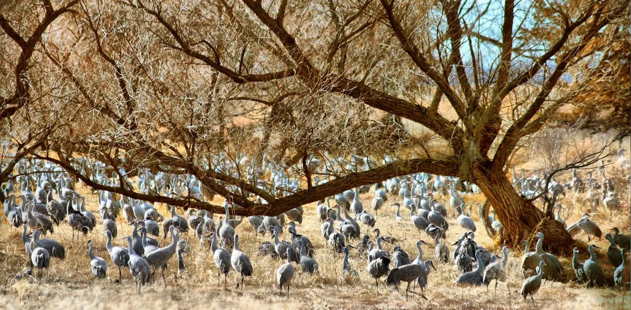 Guide to Best Weekend Trips in Nebraska, with nearby destinations